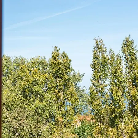 El Castanal Con Piscina Privada Βίγκο